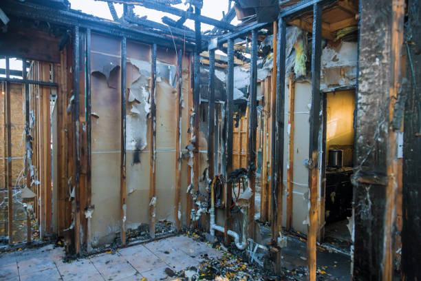 Professional Fire Damage Removal technician working in Doctor Phillips, FL